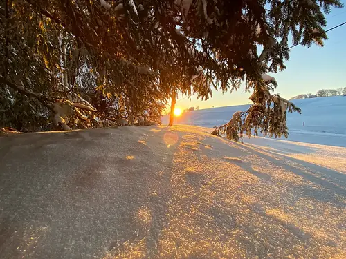 Winterlandschaft im Abendlicht