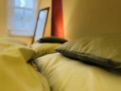 IMG_2684.jpg
