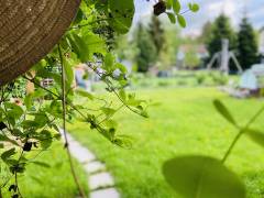 IMG_0779.jpg